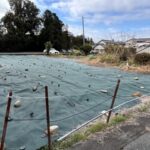 新城市西入船　閑静な住宅地内！ 画像3